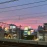 はづきDiary/柏木 葉月/川崎堀之内 上流夫人