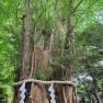 南城しゅりのblog/南城しゅり/川崎堀之内 真珠別館